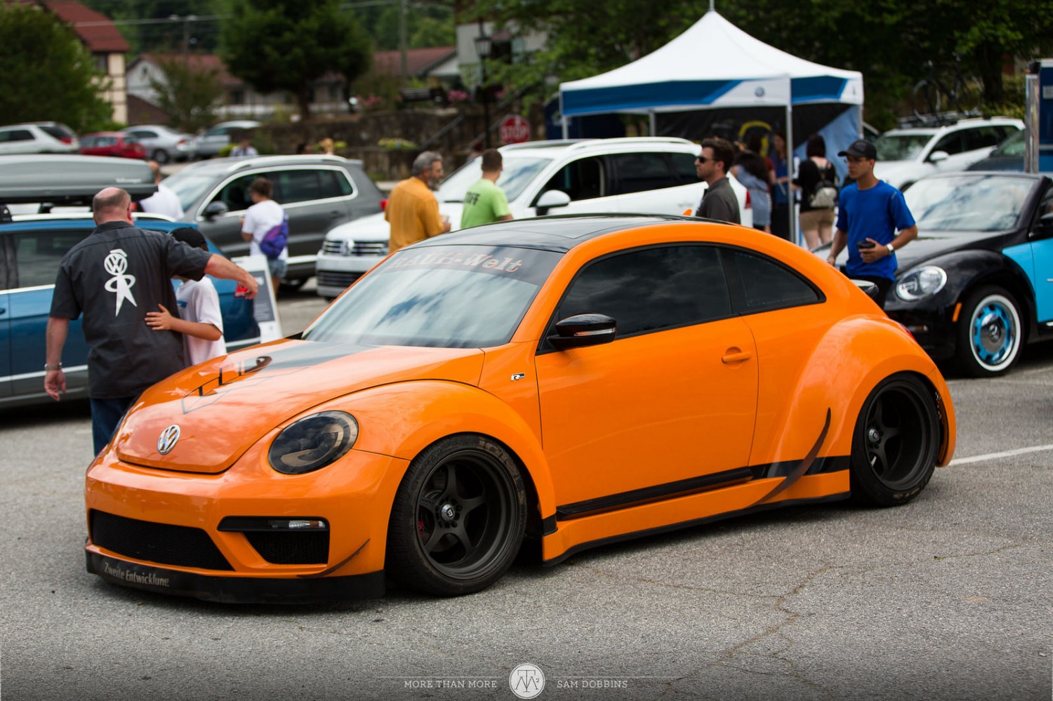 Rauh Welt Beetle Stancenation Form Function